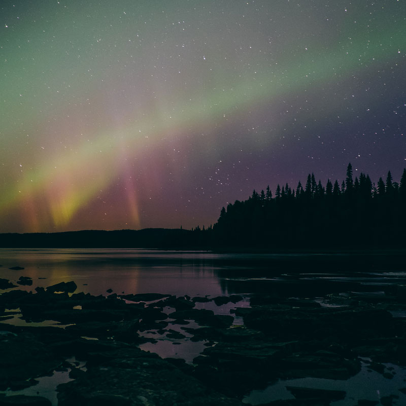 Northern light by a lake and a forest in the background.